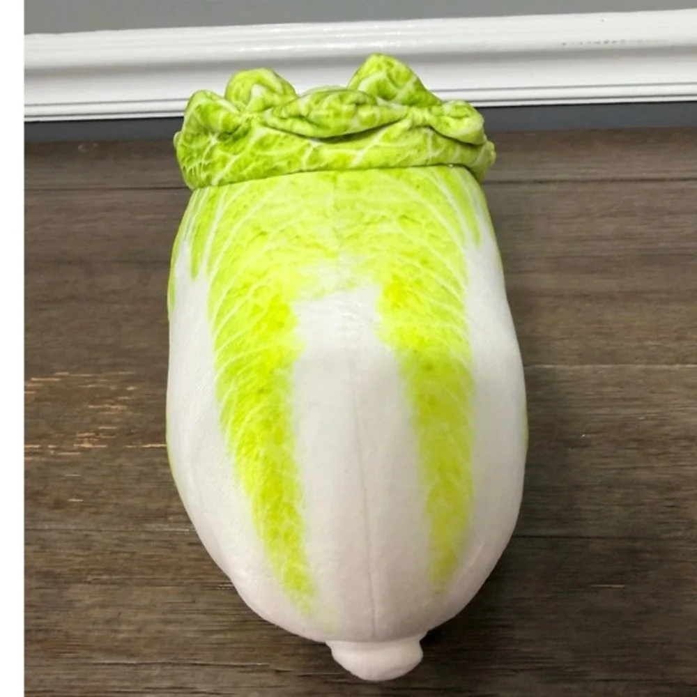 Cabbage Shiba Inu Dog 8